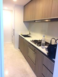 The Trizon (D10), Condominium #566273451